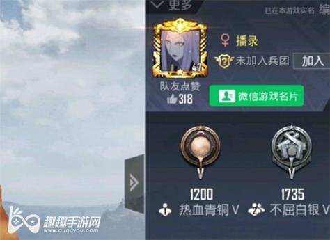 和平精英游戏中最近发现的和平精英辅助工具介