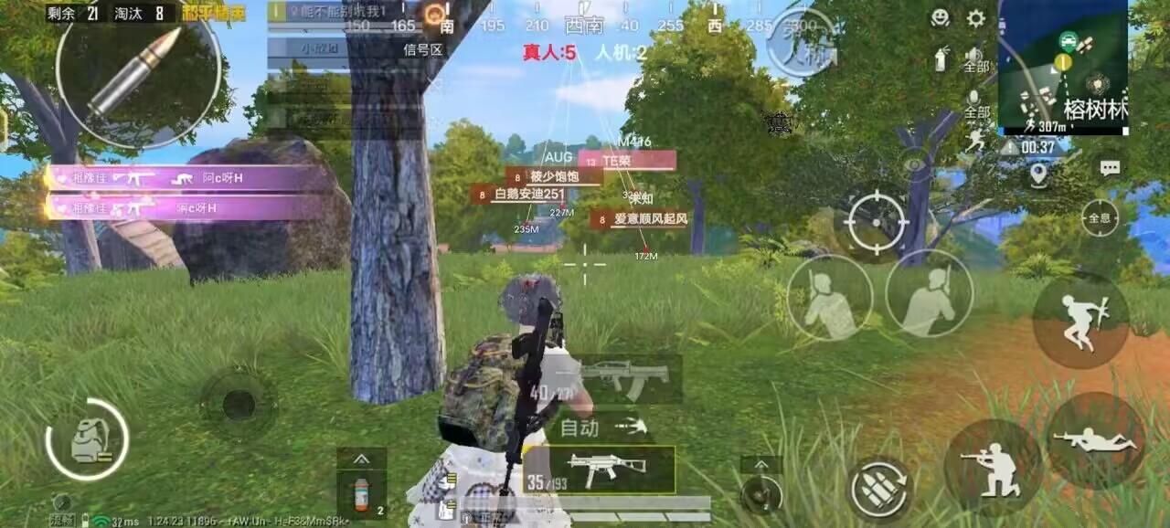 和平精英【EAD内部】辅助
